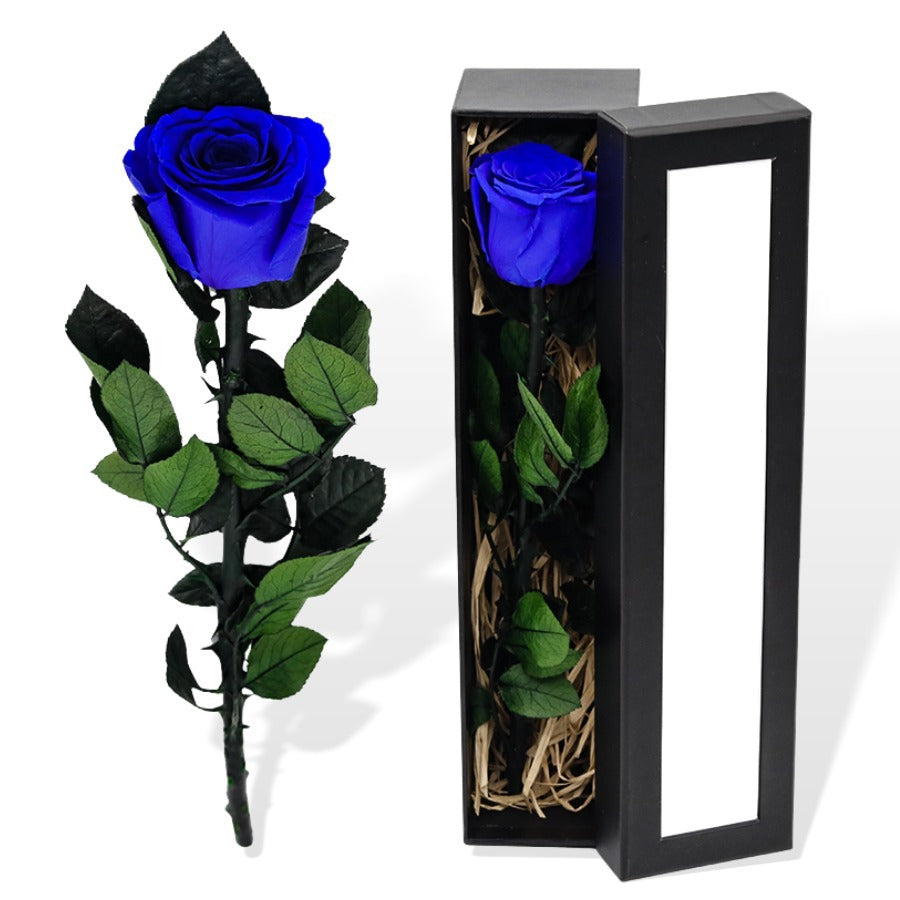 Single rose with stem in a box