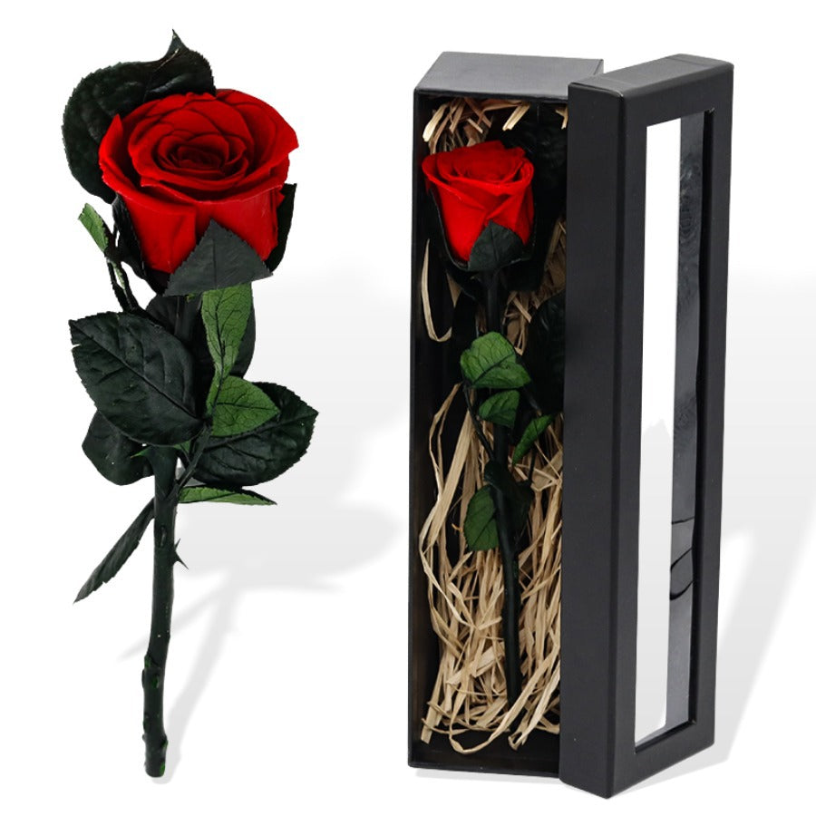 Single rose with stem in a box