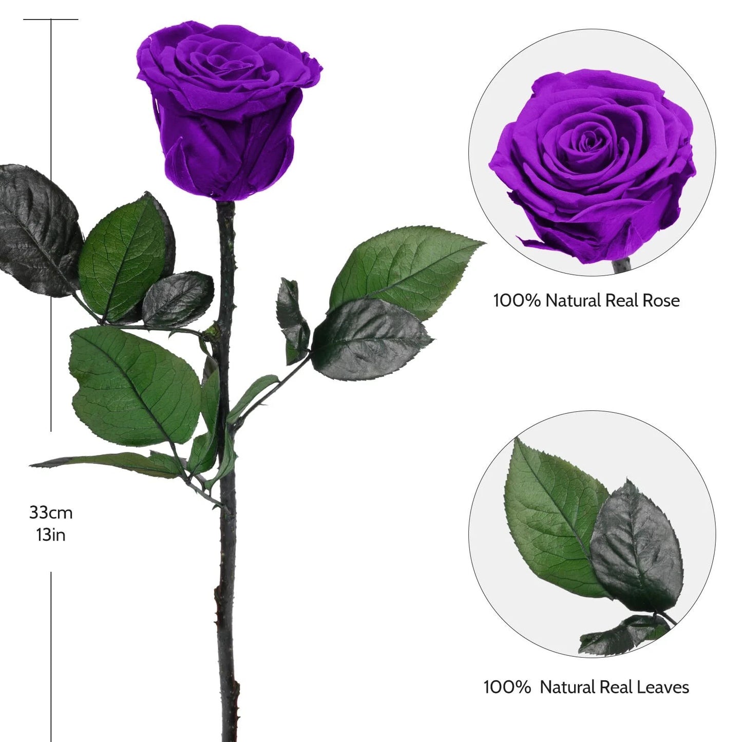 Single rose with stem in a box